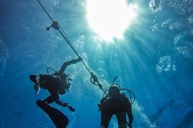 Full-Day Catalina Island Scuba Diving Tour from La Romana - Marine life, guides, and the human side of the trip