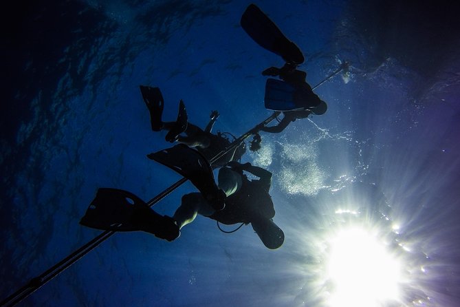 Full-Day Catalina Island Scuba Diving Tour from Punta Cana - The Aquarium, shallower and easier to explore