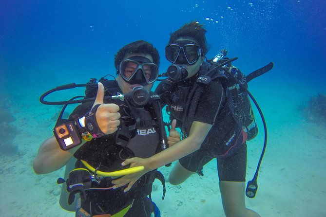 Full-Day Catalina Island Scuba Diving Tour from Punta Cana - The early ride from Punta Cana to the marina