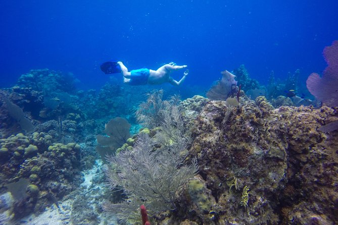 Full-Day Catalina Island Snorkeling Tour from Bavaro - Guides and group atmosphere