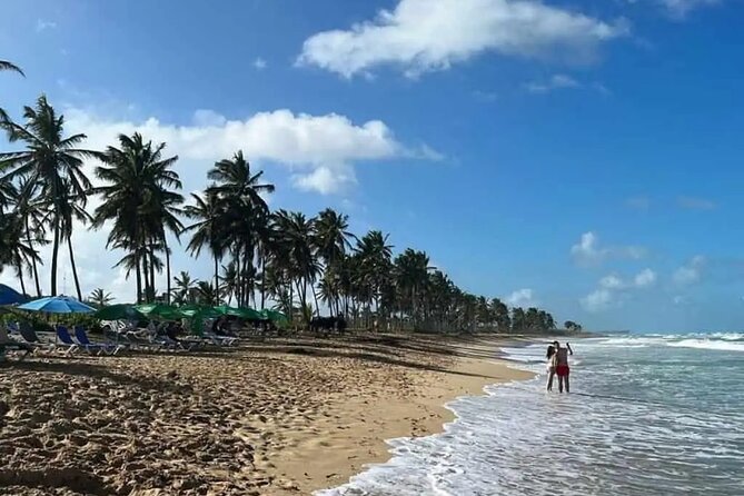 Full Day City Tour of Punta Cana - Seeing Punta Cana outside the resort gates