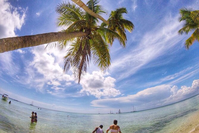Full-Day Cruise of Isla Saona from Santo Domingo with Lunch - Is the $99.95 price good value?