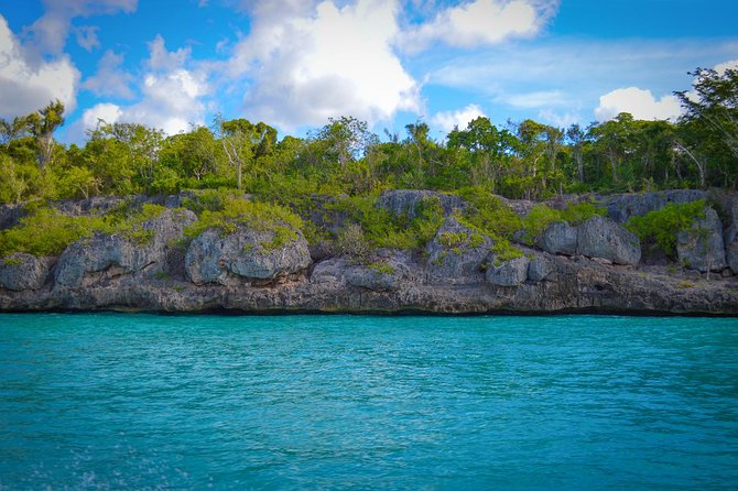 Full-Day Excursion in Saona Island - The natural pool is a beautiful 45-minute pause
