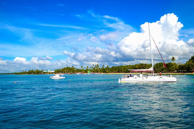Full-Day Excursion in Saona Island - Lunch is included, but keep expectations modest
