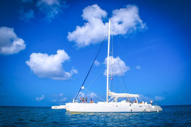 Full-Day Excursion in Saona Island - Service can be excellent or poorly organized