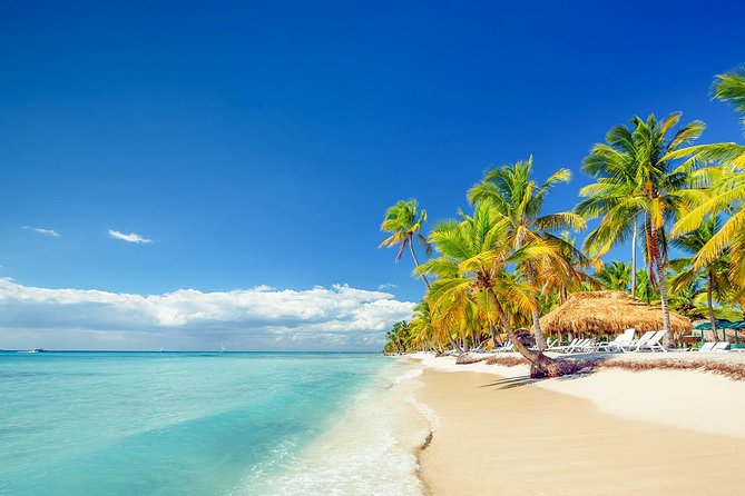 Full Day Excursion in Saona Island - From Punta Cana to Bayahibe by Air-Conditioned Vehicle