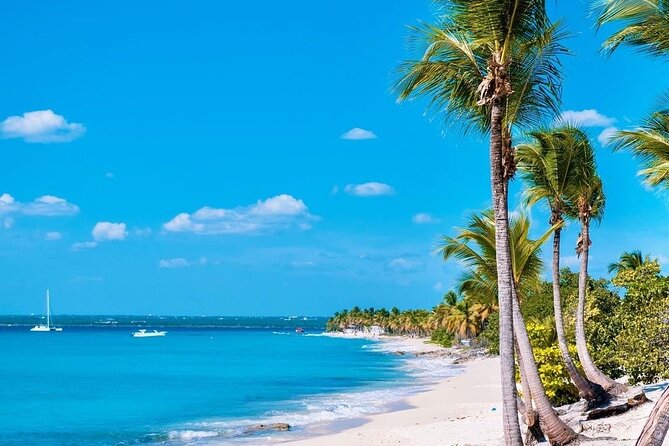 Full Day Excursion to Catalina Island From Bavaro / Punta Cana. - The day’s pace and practical comfort