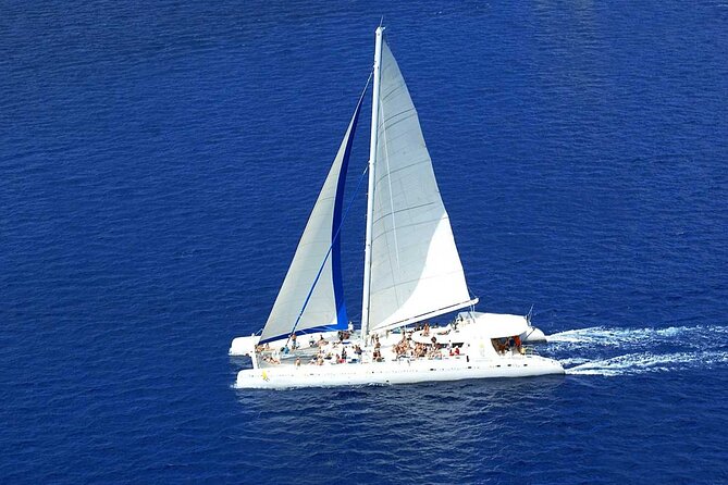 Full Day Excursion to Isla Saona from Punta Cana - Changing from bus to boat at Bayahibe