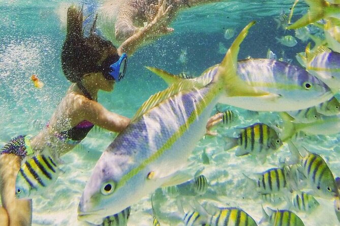 Full Day Isla Bonita Speed Tours - Transfers take some planning out of the morning