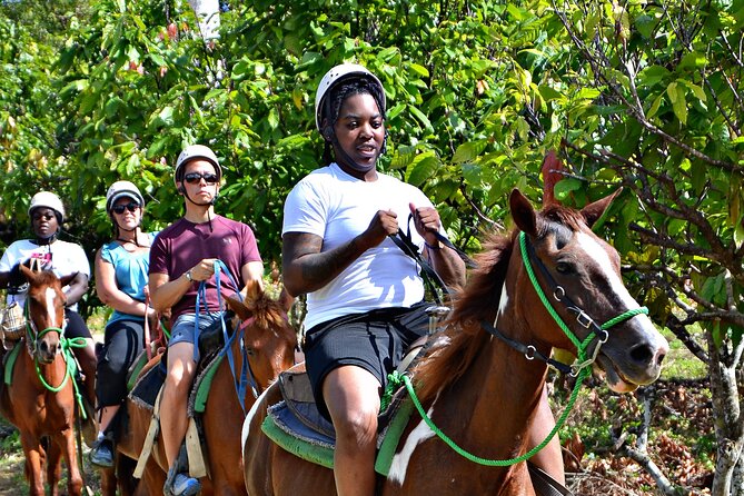 Full-Day La Hacienda Dune Buggy with Zipline & Horseback Activity - What the guides add to the day