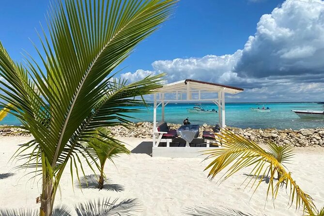Full Day Private Tour of Bayahibe, Cotubanamá and Saona Island - Mangroves, turtles, and starfish before Saona