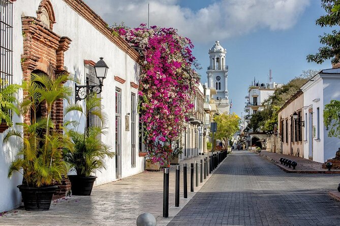 Full Day Santo Domingo City Tour: History of the Caribbean From Punta Cana - Colonial streets, Alcázar de Colón, and the first cathedral