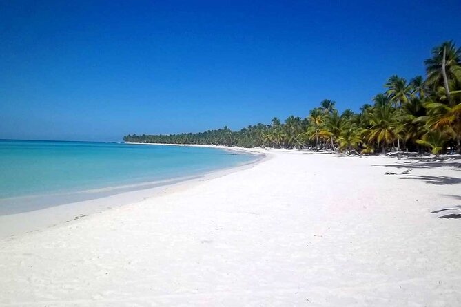 Full-Day Saona Island Tours All Inclusive - Why Saona Island works as a full-day escape