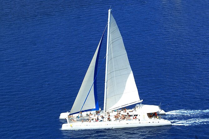 Full-Day Saona Island Tours All Inclusive - Group size, guide support, and the overall mood