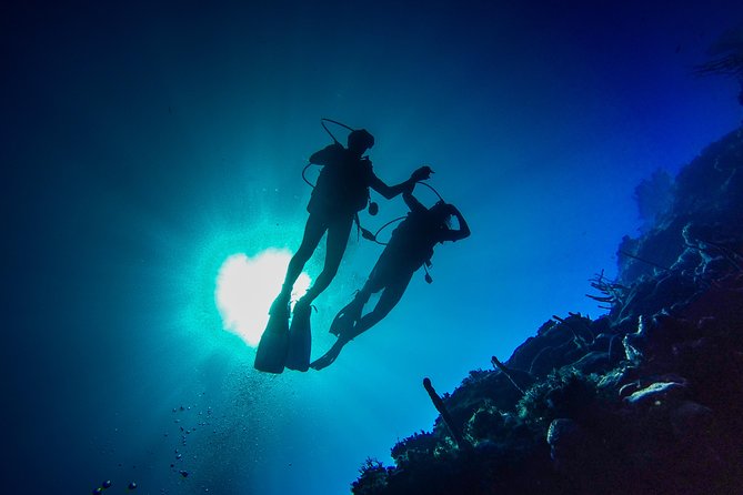 Full-Day Scuba Diving Catalina Island Tour from Bavaro - Two Catalina sites, then a beach afternoon