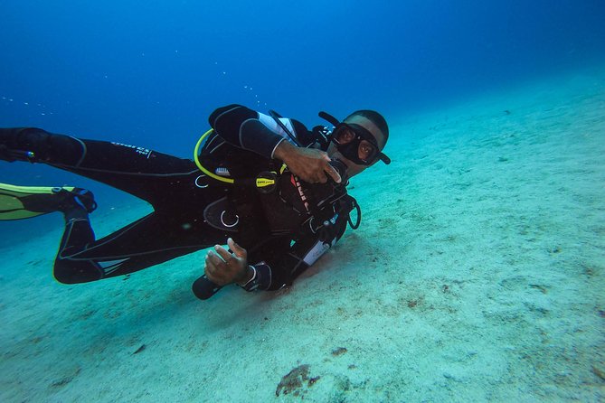 Full-Day Scuba Diving Catalina Island Tour from Bavaro - The Bavaro transfer is the biggest practical issue