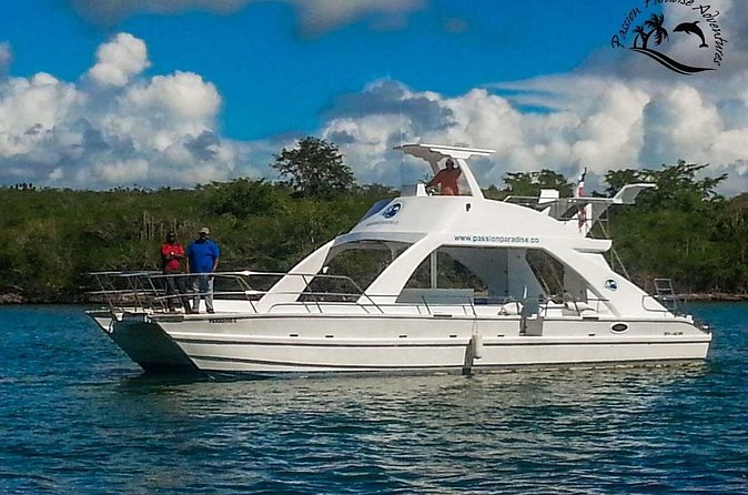 Full Day Snorkeling in Catalina Island with Transportation and Lunch - Music, drinks, and dance lessons