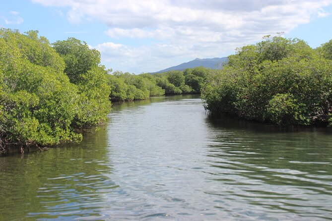 Full-Day Tour Isla Bonita Deluxe - Punta Rucia lunch and the menu question