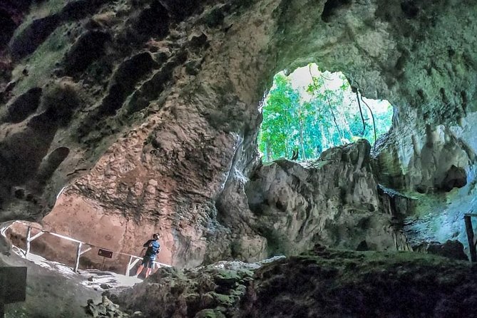 Full-Day Tour of Cayo Levantado and Los Haitises National Park - Who will get the most from this outing?