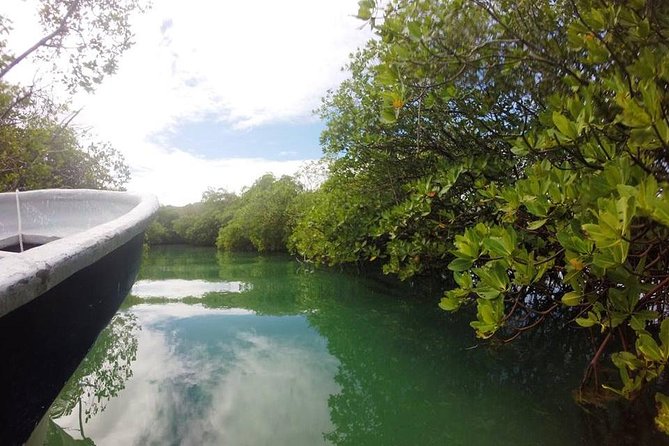 Full-Day Tour to Punta Rucia and Cayo Arena with Snorkeling - The local market stop on the way home