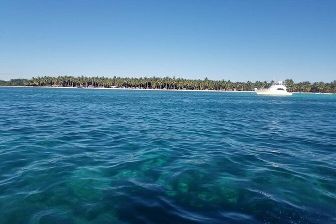 Full Day Tour to Saona Island by Catamaran and Speedboat - Playa Palmilla and the natural pool