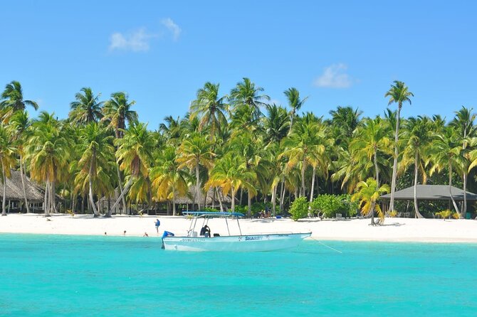 Full Day Tour to Saona Island by Catamaran and Speedboat - Who will enjoy this Saona trip most