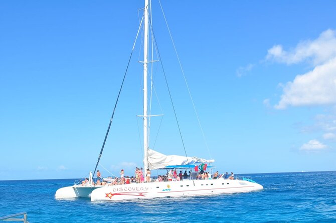 Full Day Tour to Saona Island by Catamaran and Speedboat - Booking, weather, and cancellation advice
