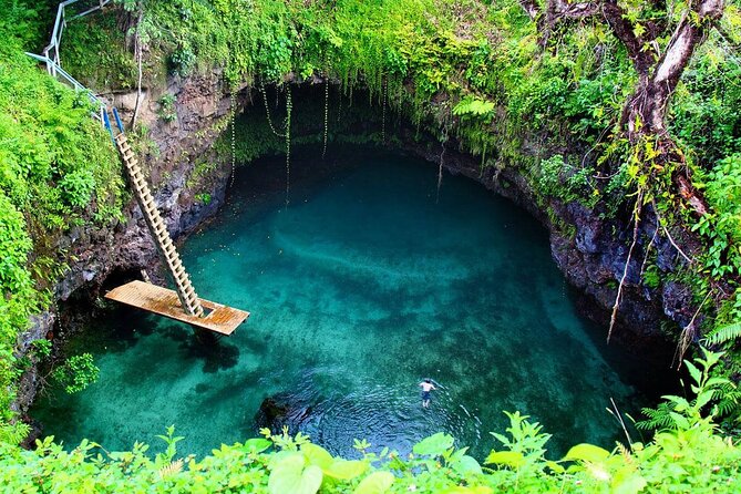 Full Day Tour to the Blue Lagoon and 7 Different Destinations - The plantation stop brings fruit, coffee, and cocoa to life