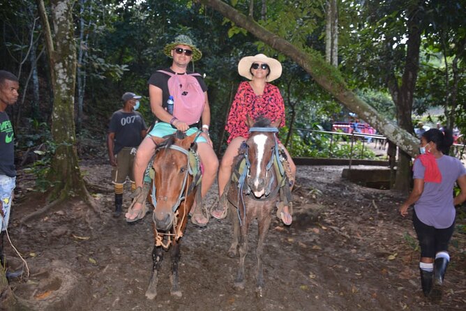 Full-Day Trip to Limon Waterfall and Bacardi Island - Who should book this day trip