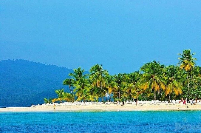 Full-day Whale watching Tour in Samana Bay from Punta Cana - What $150 Buys You