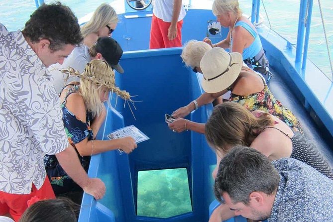 Glass Bottom Boat in Punta Cana - What this Punta Cana boat trip is really like