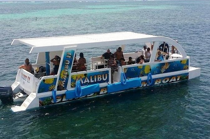 Glass Bottom Boat in Punta Cana - Seeing fish and coral through the glass
