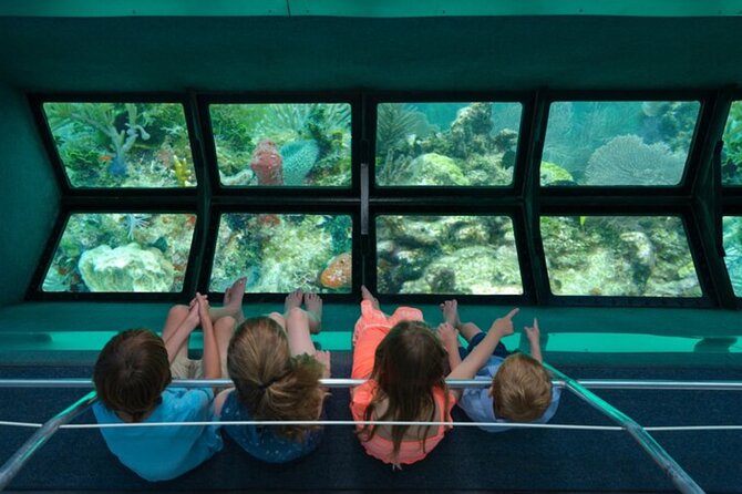 Glass-bottom boat tour to Punta Cana - Key points at a glance