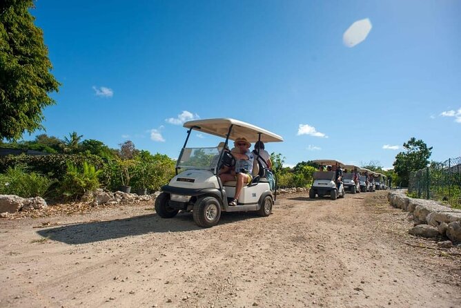 Golf Cart Eco Tour Half Day Tour - Electric carts and a slower side of Punta Cana