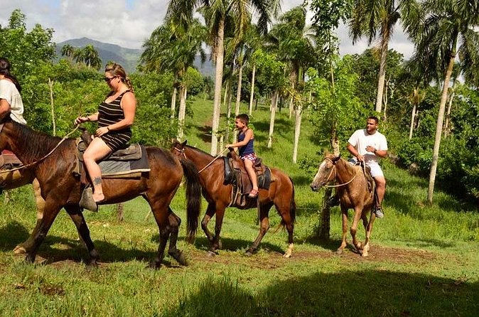 Guided Horseback Ride On The Beach With Pickup From Punta Cana - Who should book this ride?