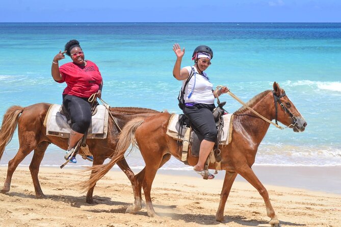 Guided Horseback Ride On The Beach With Pickup From Punta Cana - Meeting the horses at Rancho Caribeño