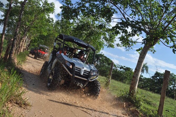 Guided Tour in Polaris (4X4) by Macao Beach, Taino Cave and Typical House - What the $95 price really covers
