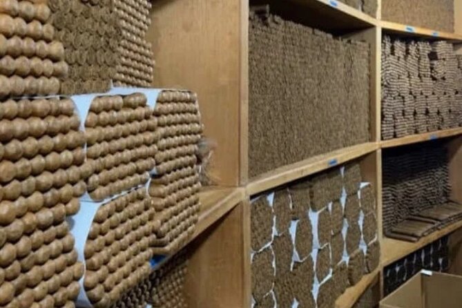 Guided Tour to Don Lucas Cigars Factory and Souvenirs Store - Who will enjoy this tour most