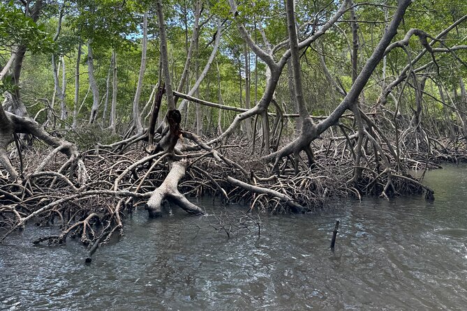 Haitian National Park and fell up - Key points to know before booking