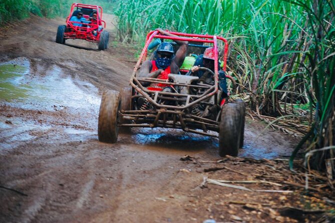 Half-Day ATV or Buggy 4X4 from Bayahibe - La Romana - The Chavón River brings a welcome pause