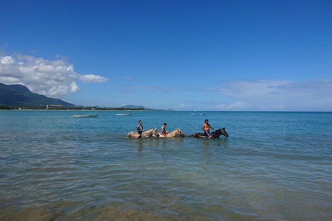 Half-Day Beach Horse Back Riding in Puerto Plata - The 30 to 40 minute beach break