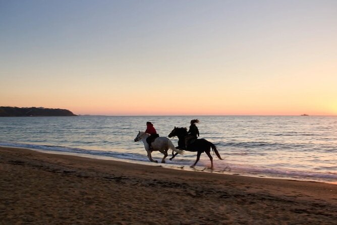 Half-Day Beach Horse Back Riding in Puerto Plata - Swimming with a horse depends on sea conditions