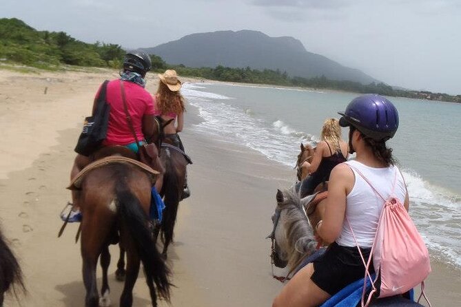Half-Day Beach Horse Back Riding in Puerto Plata - Guides, horses, and the human side of the ride