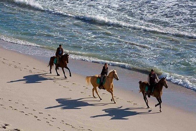 Half-Day Beach Horse Back Riding in Puerto Plata - The first hour follows a gravel jungle path