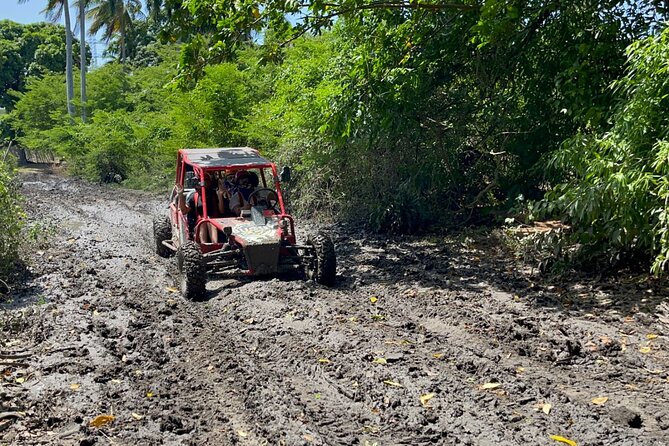 Half-Day Buggy Guided Adventure for Amber Cove and Taino Bay - The cigar, coffee, chocolate, and Mamajuana stop