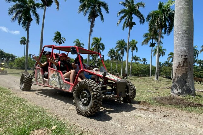 Half-Day Buggy Guided Adventure for Amber Cove and Taino Bay - Safety, comfort, and the few rough edges