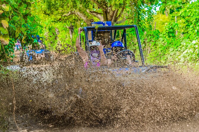 Half-Day Buggy Tour to Water cenote and Macao Beach in Punta Cana - What the $43.80 price really gets you