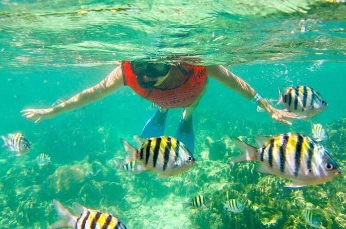 Half Day Catamaran & Snorkeling - Crew service, music, and the social side