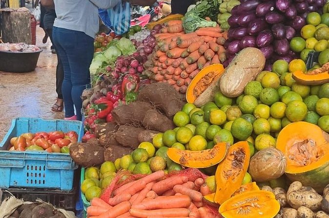 Half-day City tour cultural from punta cana for small group - A Dominican farmhouse, coffee, and cacao