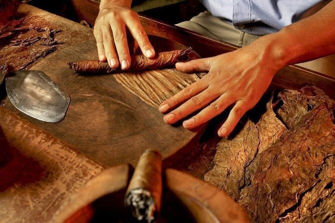 Half-Day Cultural Safari - Why this tour gives you more than a resort day